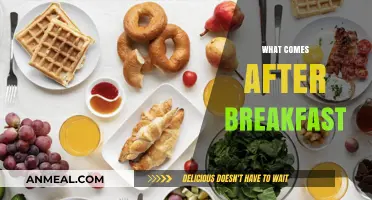 From Breakfast to Brunch: Exploring the Next Meal and Snack Options