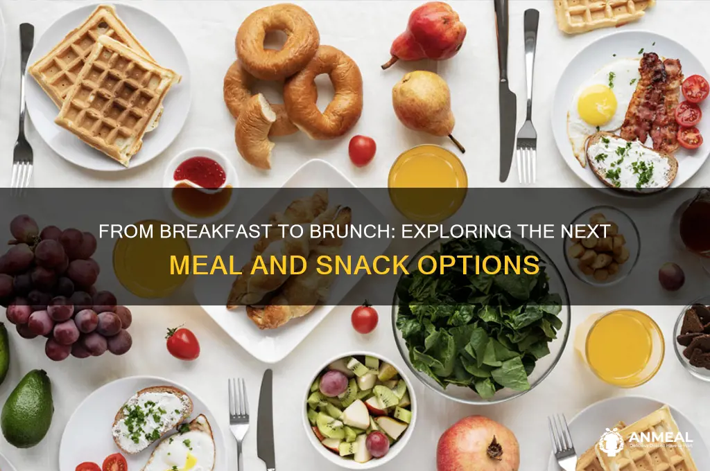 what comes after breakfast