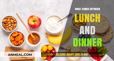 Afternoon Snacks: Bridging the Gap Between Lunch and Dinner