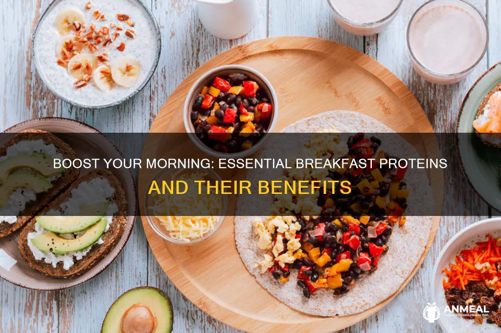 what comes with breakfast proteins