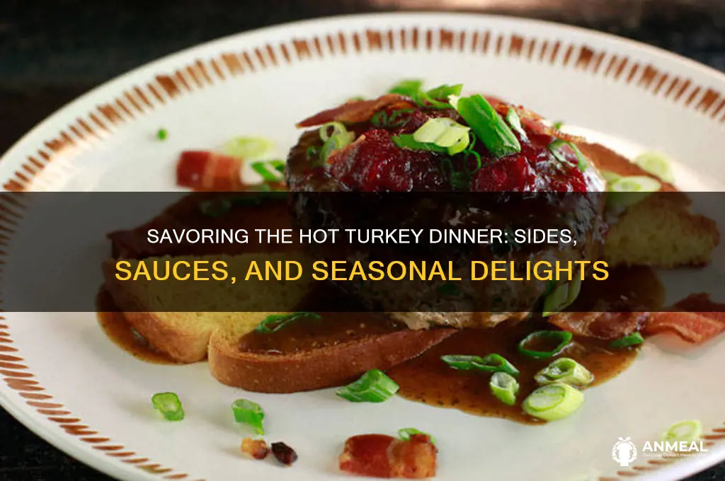 what comes with the hot turkey dinner