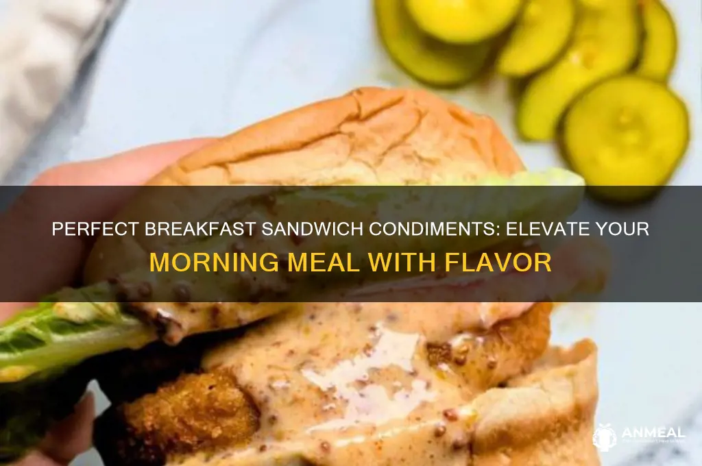 what condiments go well with breakfast sandwich