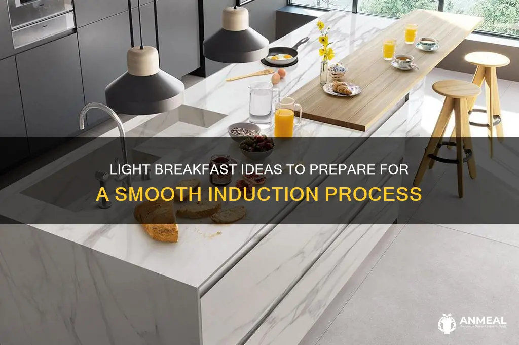 what constitutes q light breakfast before induction