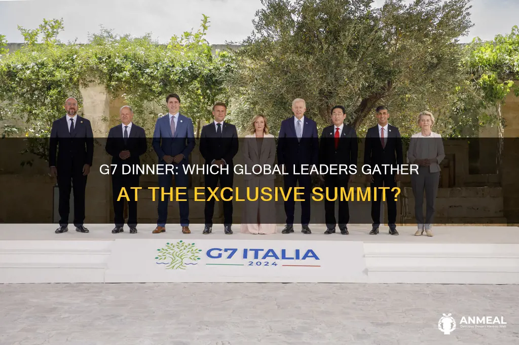 what countries attend g7 dinner