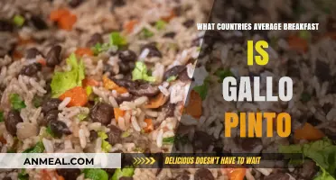 Gallo Pinto: The Beloved Breakfast Staple Across Central American Countries