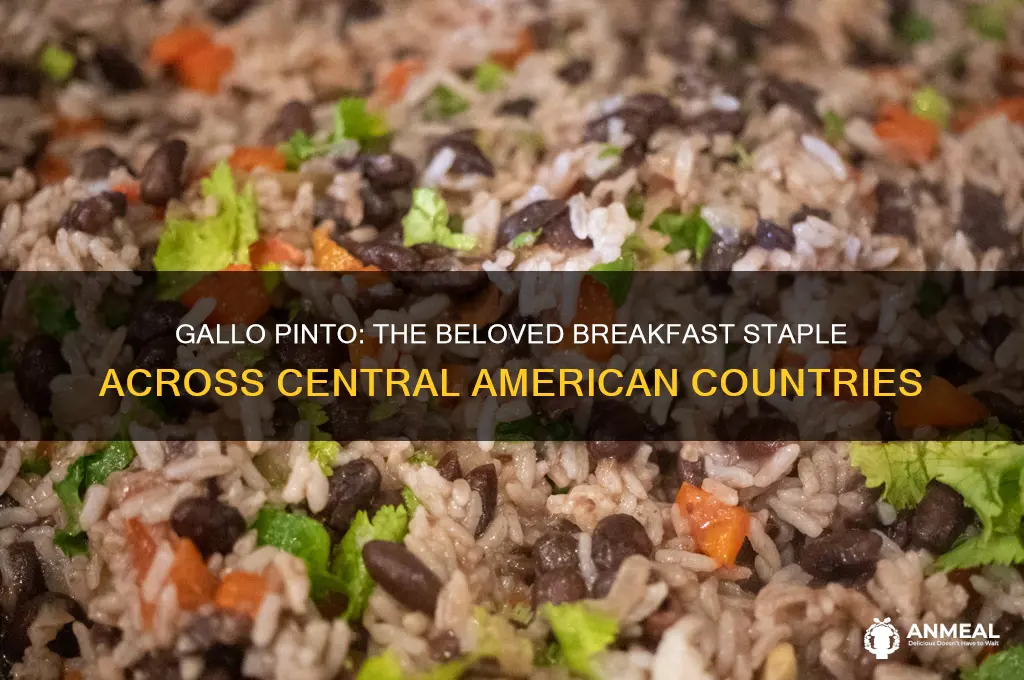 what countries average breakfast is gallo pinto
