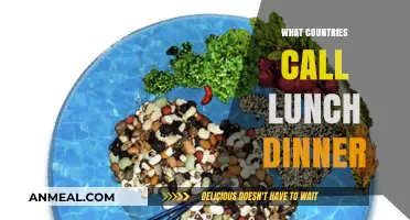 Lunch or Dinner? Global Meal Naming Differences Explained