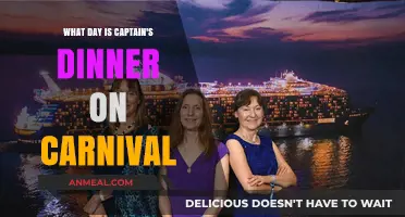 Carnival Cruise Captain's Dinner Night: When to Dress Up