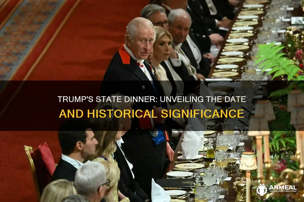 what day was trumps state dinner