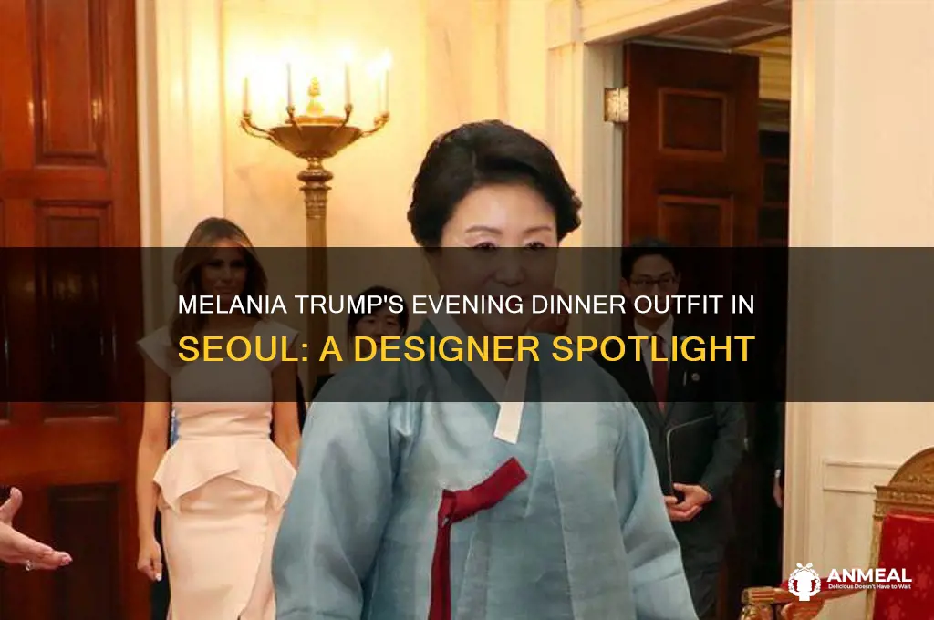 what designer melania wore in soeul for evening dinner