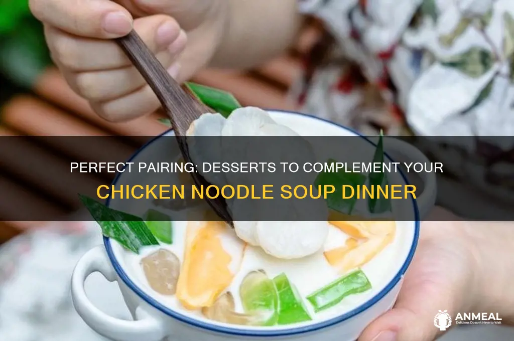 what dessert goes with chicken noodle soup for dinner