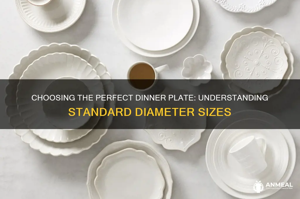 what diameter is a dinner plate