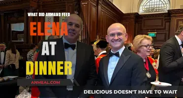 Armand's Culinary Choice: Unveiling Elena's Dinner Delicacies and Secrets