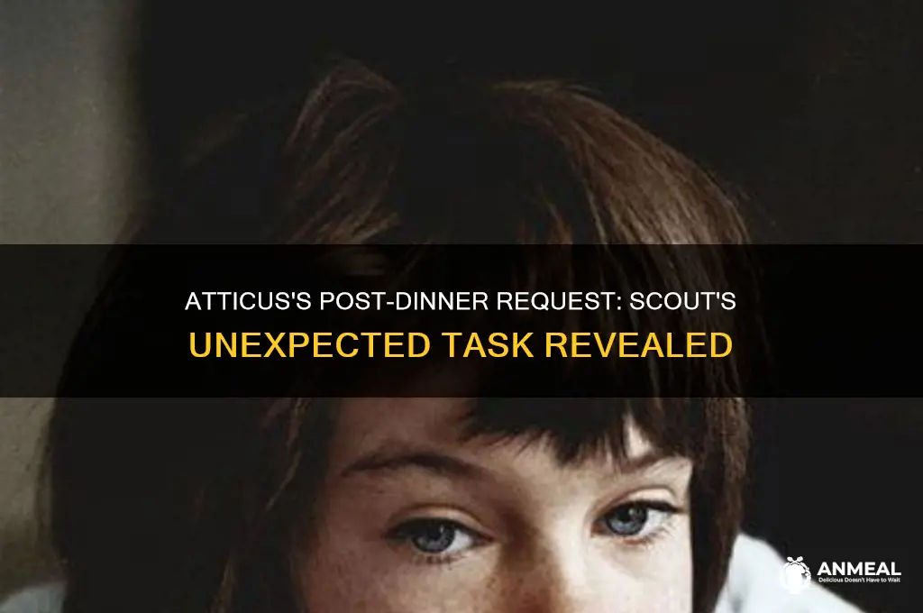 what did atticus ask scout to do after dinner