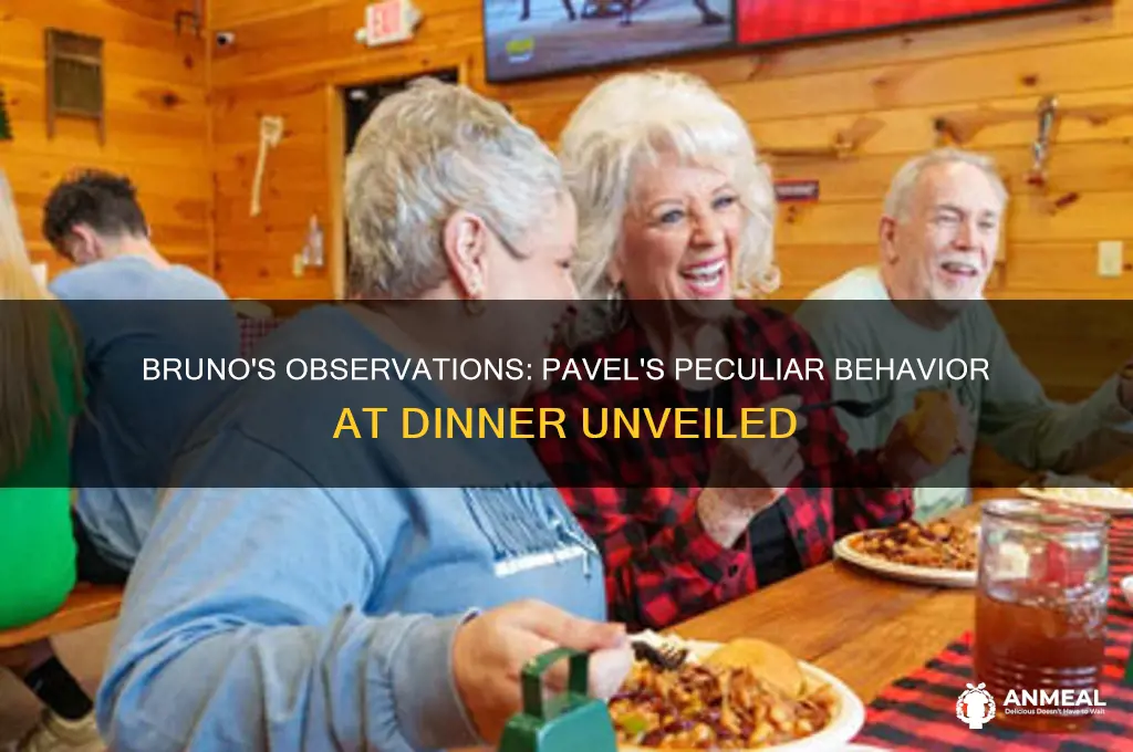 what did bruno notice about pavel at dinner