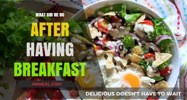 Post-Breakfast Routine: Unveiling His Morning Activities and Daily Habits