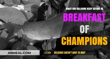 Breakfast of Champions: Decoding Killgore Trout's Recurring Phrase