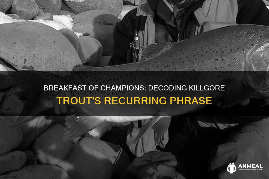 what did killgore keep saying in breakfast of champions