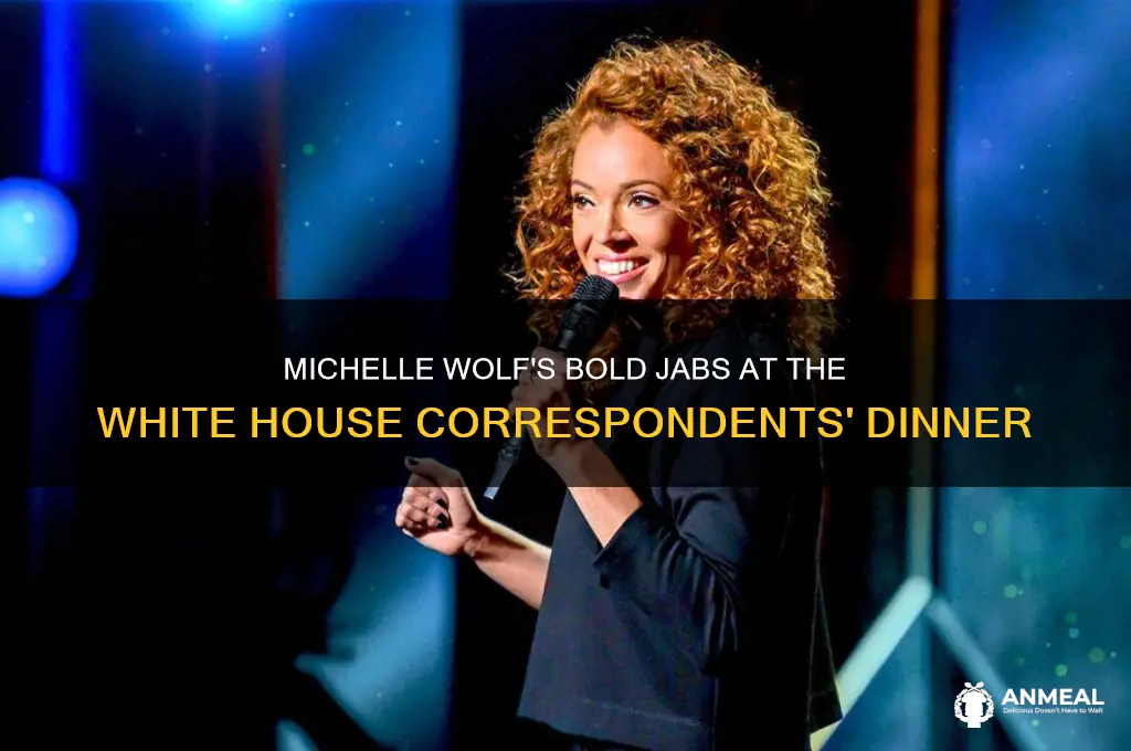what did michelle wolf say at correspondents dinner