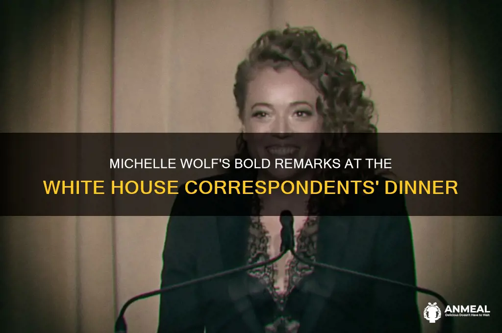 what did michelle wolf say at the white house dinner