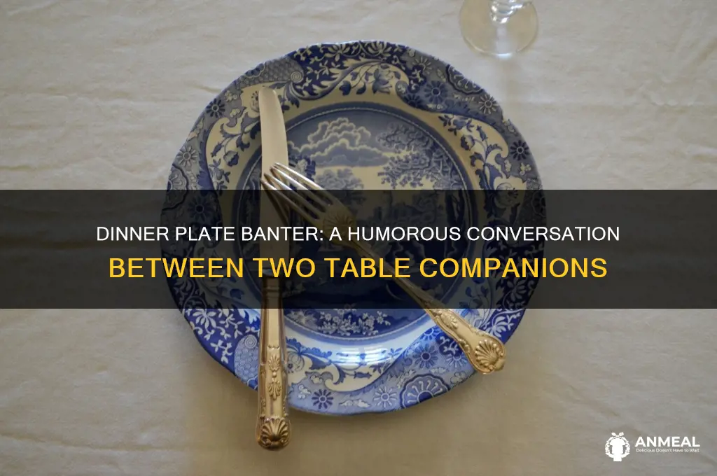 what did one dinner plate say to the other