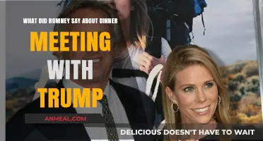 Romney's Candid Remarks on Trump Dinner Meeting Revealed
