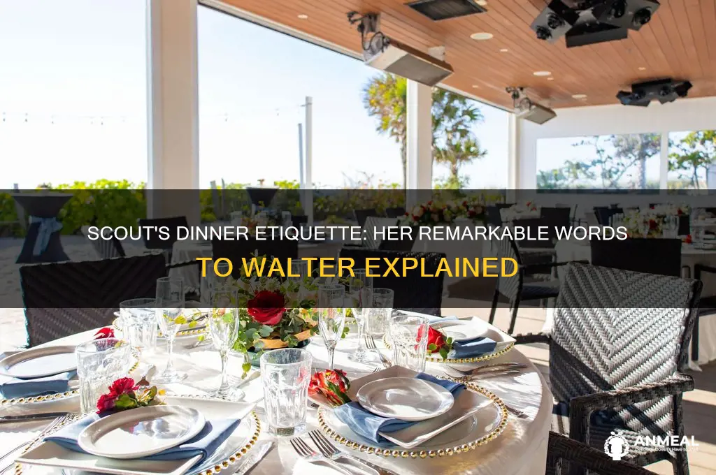 what did scout say to walter at dinner