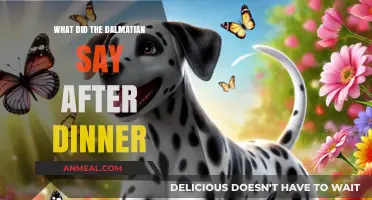 Dinner's Done: A Dalmatian's Post-Meal Musings and Witty Remarks