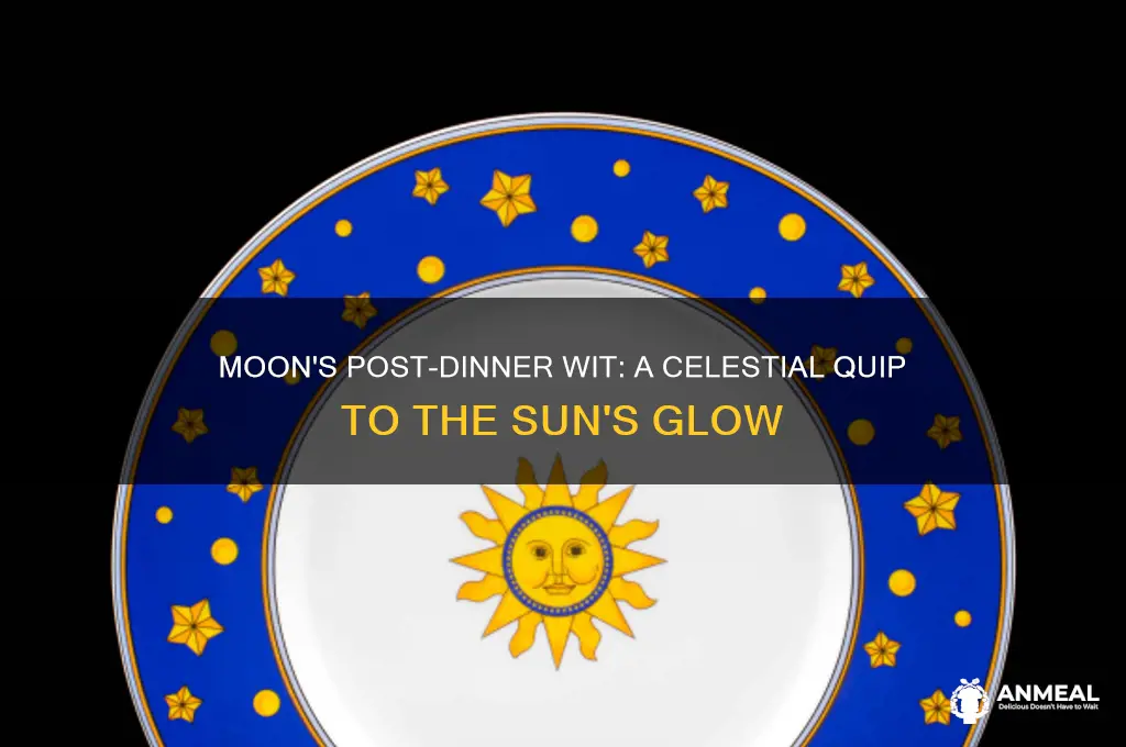 what did the moon say to the sun after dinner