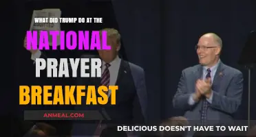 Trump's Remarks and Actions at the National Prayer Breakfast Explored