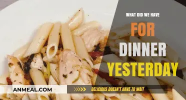 Yesterday's Dinner Delights: A Recap of Our Evening Feast