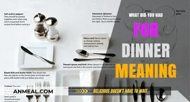 Decoding the Phrase: What Did You Have for Dinner Meaning Explained