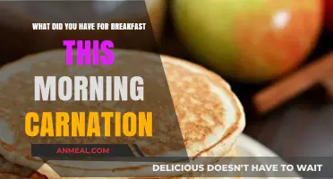 Carnation Breakfast Ideas: What Did You Enjoy This Morning?