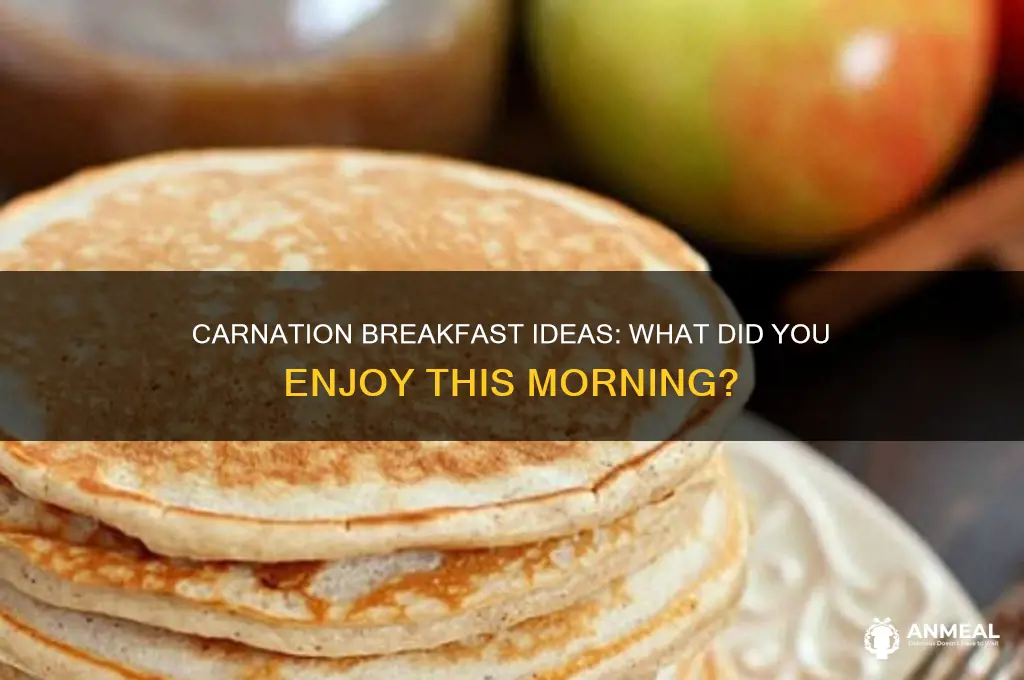 what did you have for breakfast this morning carnation