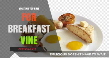 What Did You Have for Breakfast? Exploring the Viral Vine Trend