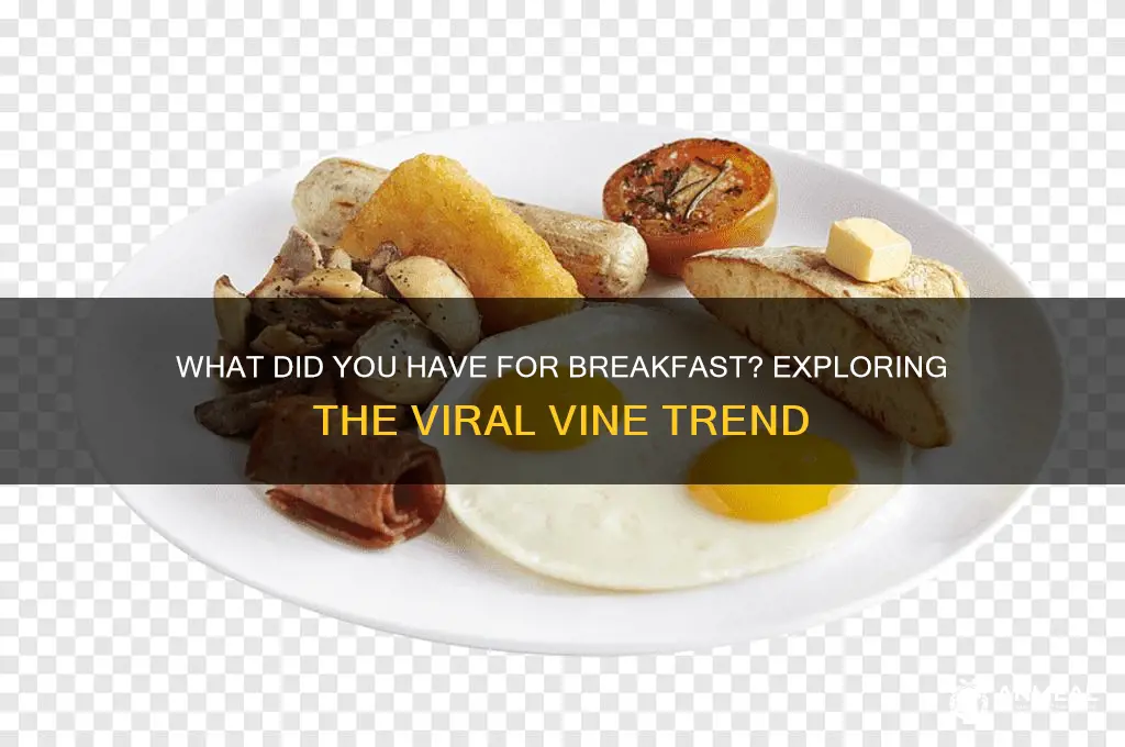 what did you have for breakfast vine
