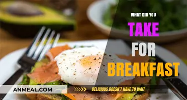 What Did You Take for Breakfast? Healthy Morning Meal Ideas