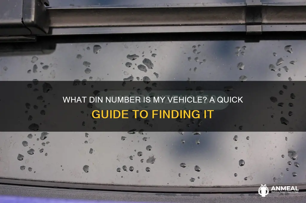 what dinn is my vehicle