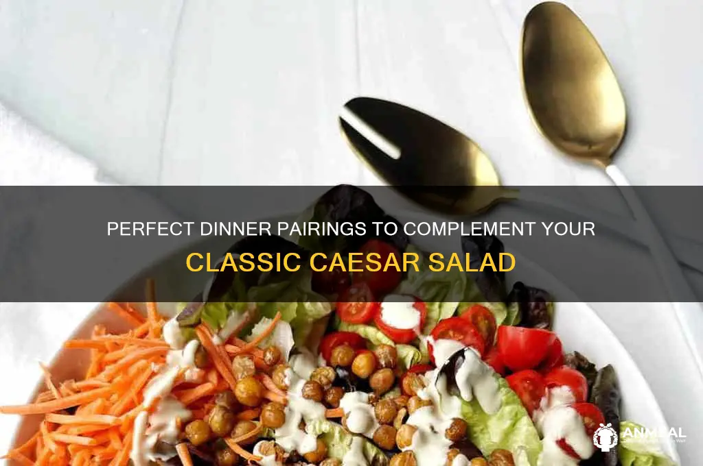 what dinner goes with caesar salad