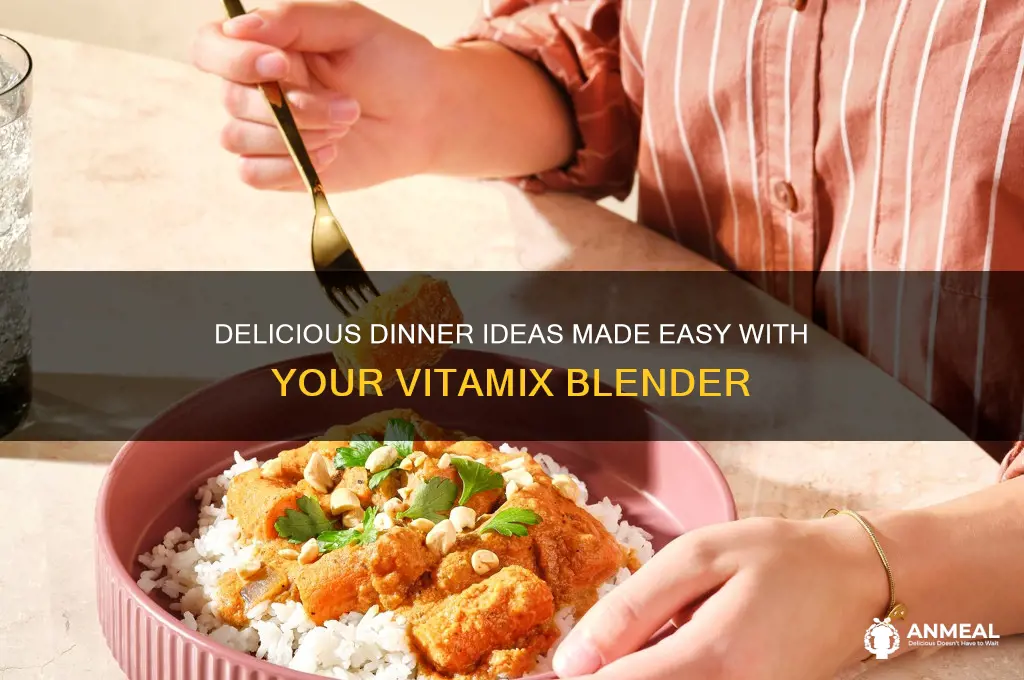 what dinner ideas with vitamix