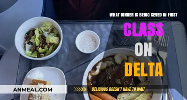 Delta First Class Dinner: A Gourmet Journey Above the Clouds