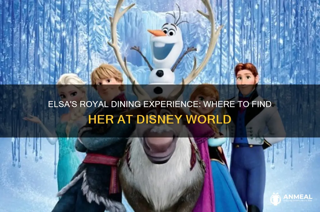 what dinner is elsa at in disney world