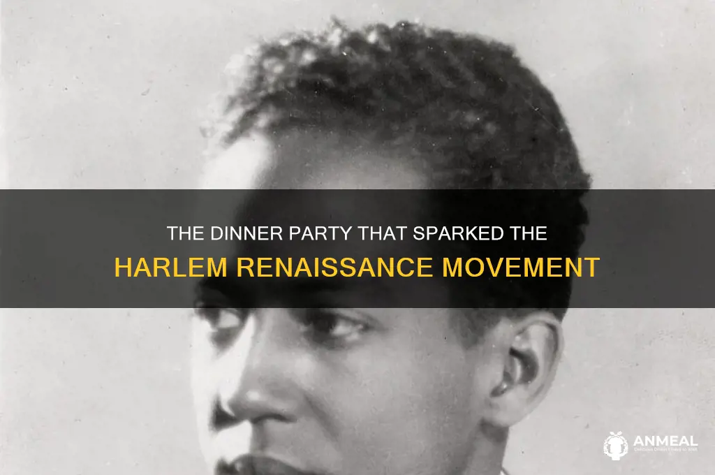what dinner party started the harlem renaissance