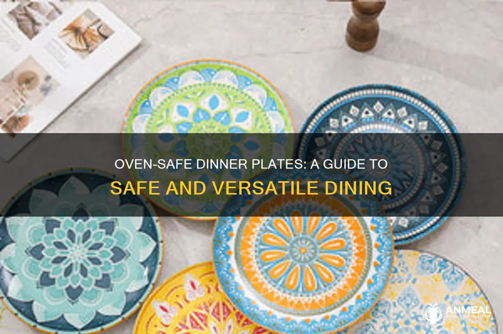 what dinner plates are oven safe