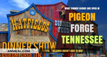 Pigeon Forge Dinner Shows: Exciting Options Currently Open for Visitors