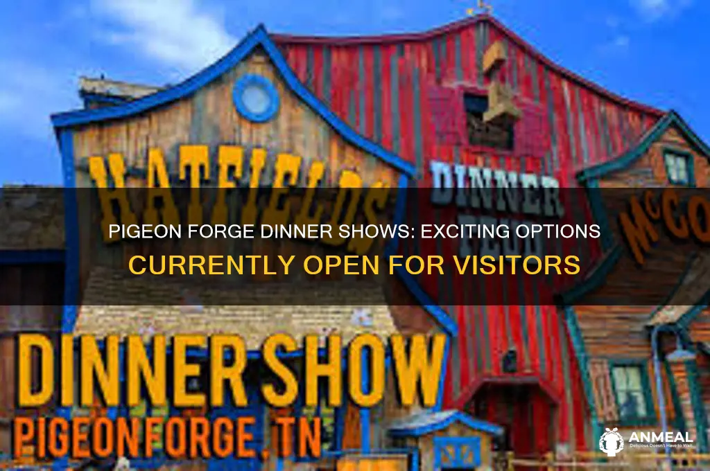 what dinner shows are open in pigeon forge tennessee