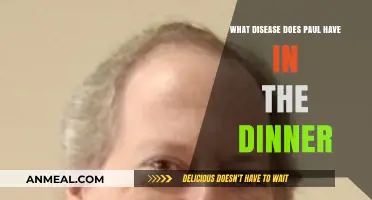 Unraveling Paul's Mystery Illness in 'The Dinner' Plot Twist