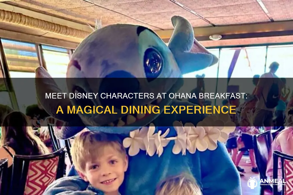 what disney characters are at ohana breakfast
