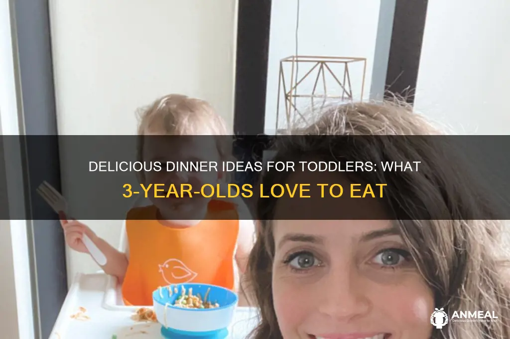 what do 3 year olds like for dinner