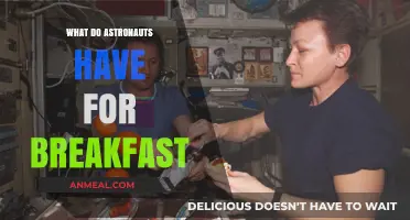Astronauts' Morning Fuel: Breakfast in Space Explained